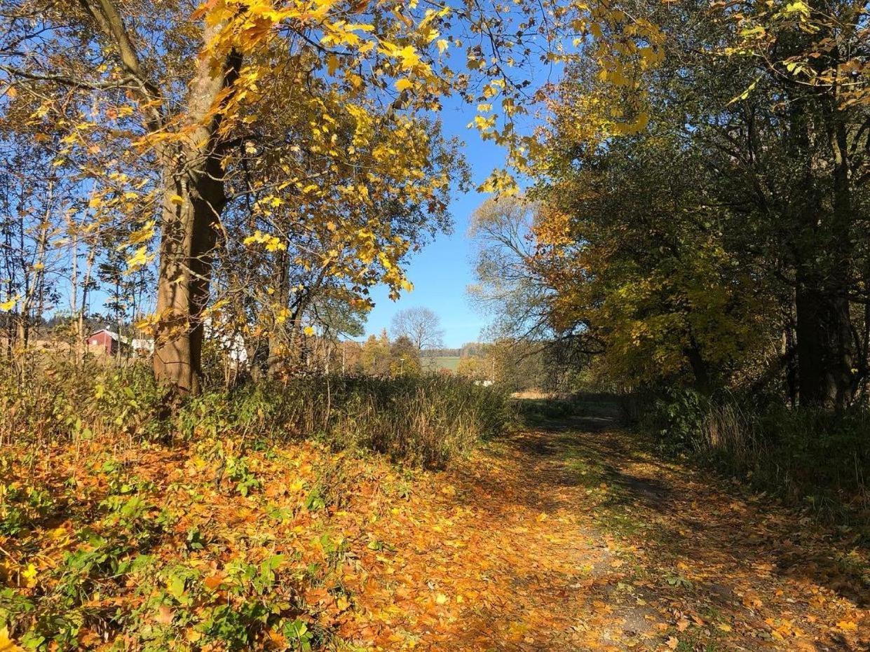 Penzion Terezka Králíky Buitenkant foto
